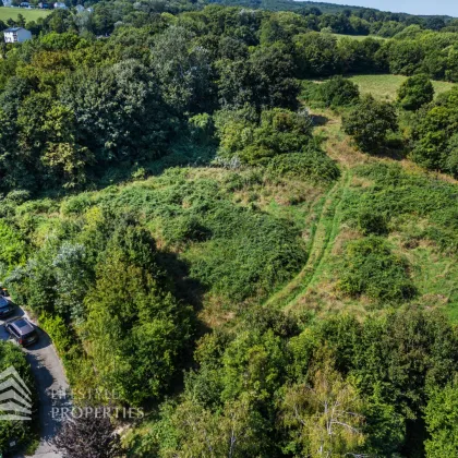 Vor den Toren Wiens – Grünland mit Bauerwartungsland-Einstufung - Bild 3