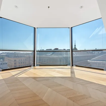 Penthouse par excellence mit Terrassen, Pool & Weinkeller, und privat concierge Service nach Wunsch - Nähe Staatsoper, Stephansdom - Bild 2