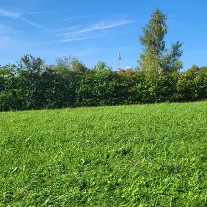 Genieße Abende bei Kerzenschein im Garten Baugrund in Aussichtslage - Bild 2