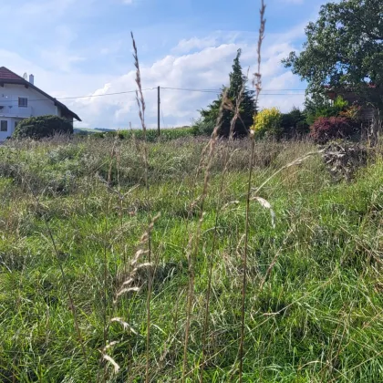 Exklusives Baugrundstück in ruhiger Lage – Jetzt zuschlagen und flexibel bauen! - Bild 3