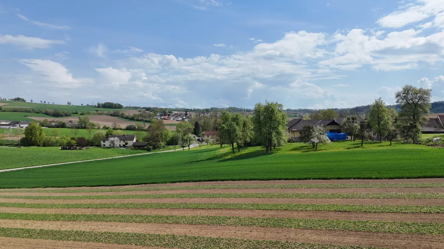 987 m² Bauland mit Widmung Dorfgebiet in Engerwitzdorf/Edtsdorf ohne Bauzwang - Bild 1