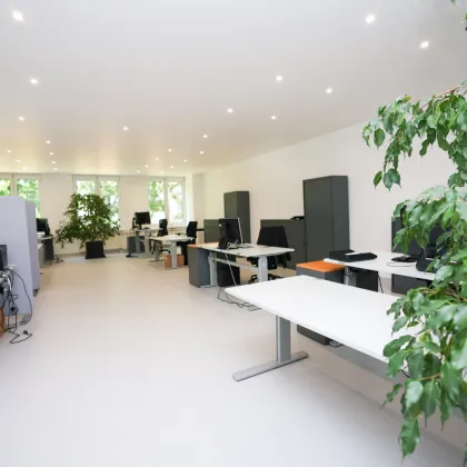 +Modernes Büro 545m² (oder auf 2x270m² teilbar) , 15-20 Räume insgesamt möglich,  Teeküche, Toiletten, optionale PKW Stellplätze, optionaler Keller+ - Bild 3