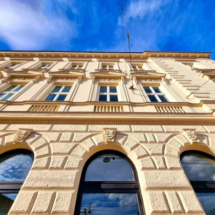 Stabiles Investment mit ca. 4,63% Rendite! Sehr bonitätsstarker Mieter + Traumhaftes Eck-Altbauhaus + Perfekte Infrastruktur und Anbindung mit Straßenbahn vor der Türe! Nutzen Sie diese Gelegenheit! - Bild 3