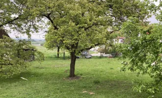 Grundstück in Krems Egelsee - Ruhelage - PROVISIONSFREI !!