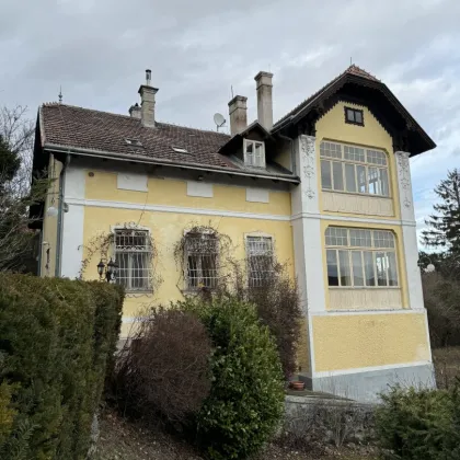 Lage Lage Lage! Einzigartige Villa in idyllischer Lage - Perfektes Renovierungsprojekt in Hinterbrühl! - Bild 3