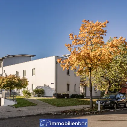 vermietete 4 Zimmer Anleger Gartenwohnung am Stadtpark Ried - Provisionsfrei - Bild 3