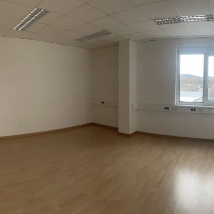 Ared Park - helles Kleinbüro - Bild 2