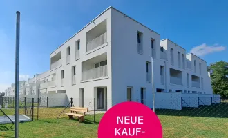 Zwischen Wien und Wein – „Flori Flats“! Willkommen in Ihrem neuen Zuhause!