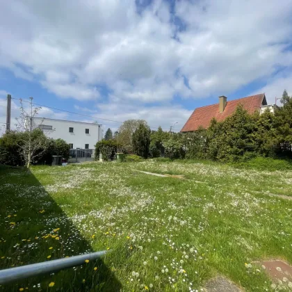 BAUGRUNDSTÜCK MIT KLEINEM HAUS,SOWIE ALLEN ANSCHLÜSSEN IN STRASSHOF ZU VERKAUFEN! - Bild 2