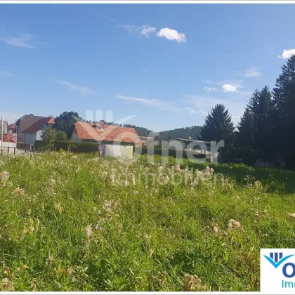 Sonniges Baugrundstück in Pichling bei Köflach - Bild 3