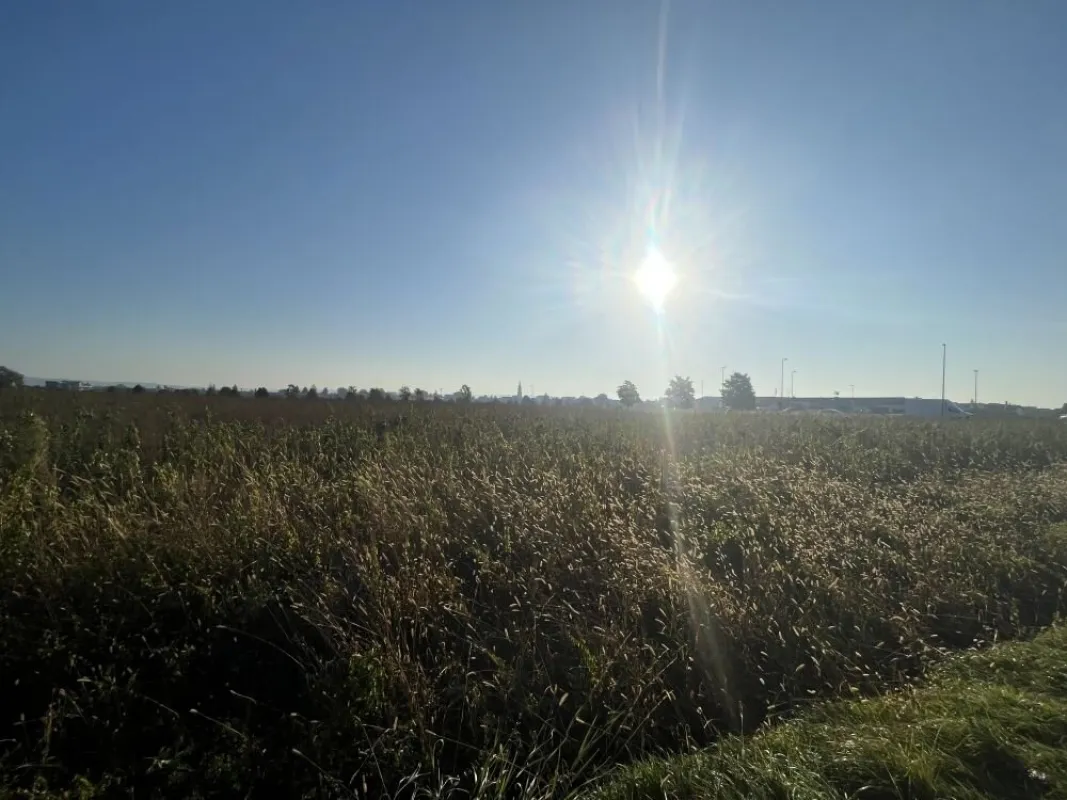 Gewerbegrundstück in sehr frequentierter Lage nahe der Autobahn in Seiersberg - Bild 1