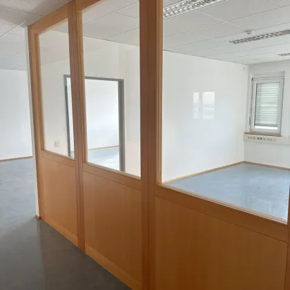 Create your office: Moderne, flexible Büroflächen mit Klimaanlage im IZ-NÖ Süd - Raumeinteilung nach Mieterwunsch möglich. - Bild 2