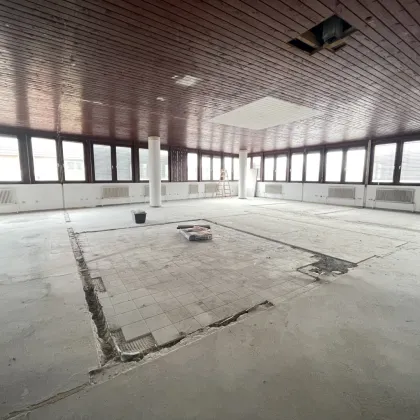 *provisionsfrei* 1.000m2 großteils bestandsfreies Büro-/Produktions-/Werkstattgebäude in 1120 Wien, großzügige Aufstockung möglich (+8,5m) - Bild 3