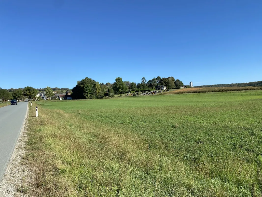 Großes Grundstück mit Bauland - Bild 1