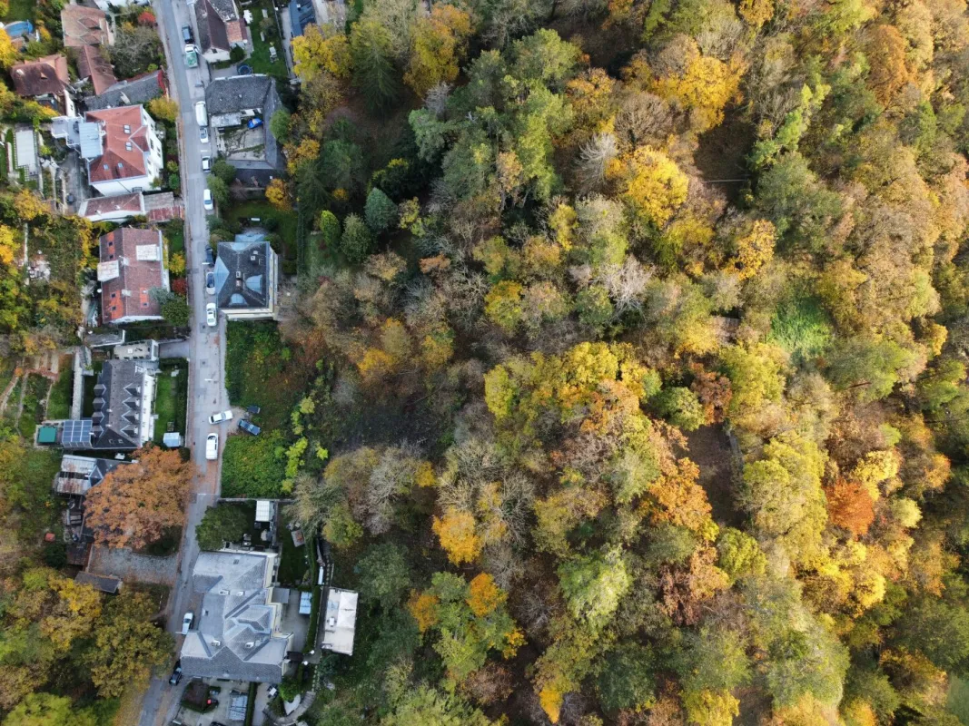 3 Baugrundstücke in besonders schöner Villen-Grünruhelage! Inkl. Bebauungskonzept! - Bild 1