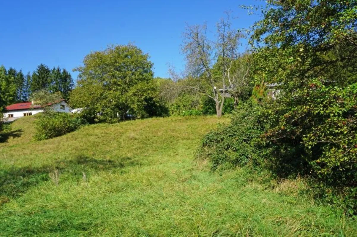 Baugrundstück auf Südhang in traumhafter Grünruhelage in der Kaiserbrunn - Bild 1