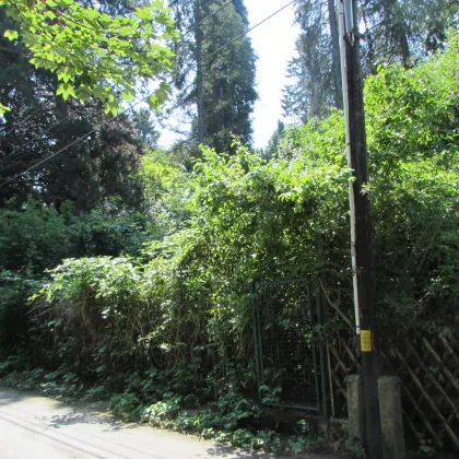 *****Hanggrundstück mit Baubewilligung für 325 m² Wohnfläche***** - Bild 3