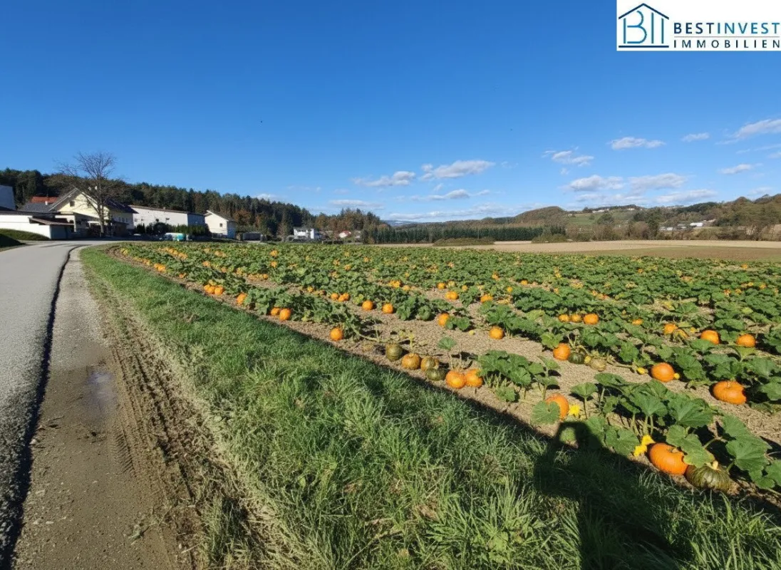 Ackerland sehr gut erschlossen. - Bild 1