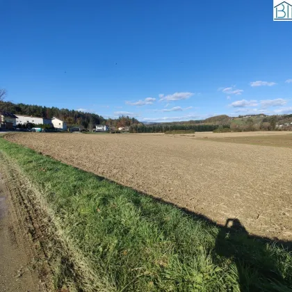 Ackerland sehr gut erschlossen. - Bild 2