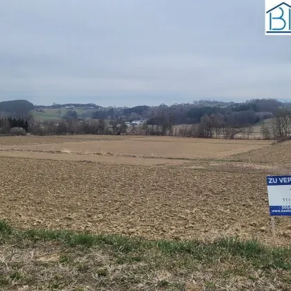 Ackerland sehr gut erschlossen. - Bild 3