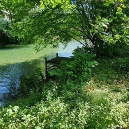 Rarität! Baugrundstück mit Altbestand im Grünen zwischen Attersee und Mondsee - Bild 3