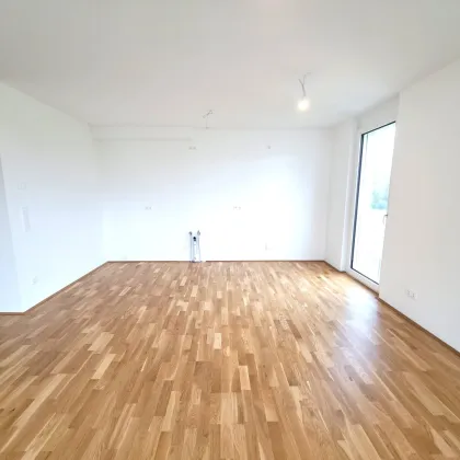 "Flori Flats": Idyllische Anlegerwohnungen in Heurigengegend - Bild 3