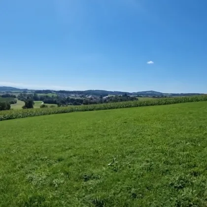 Traumimmobilie mit Fernblick und Grünblick in Bodendorf, OÖ - 903m² Landwirtschaft! - Bild 2