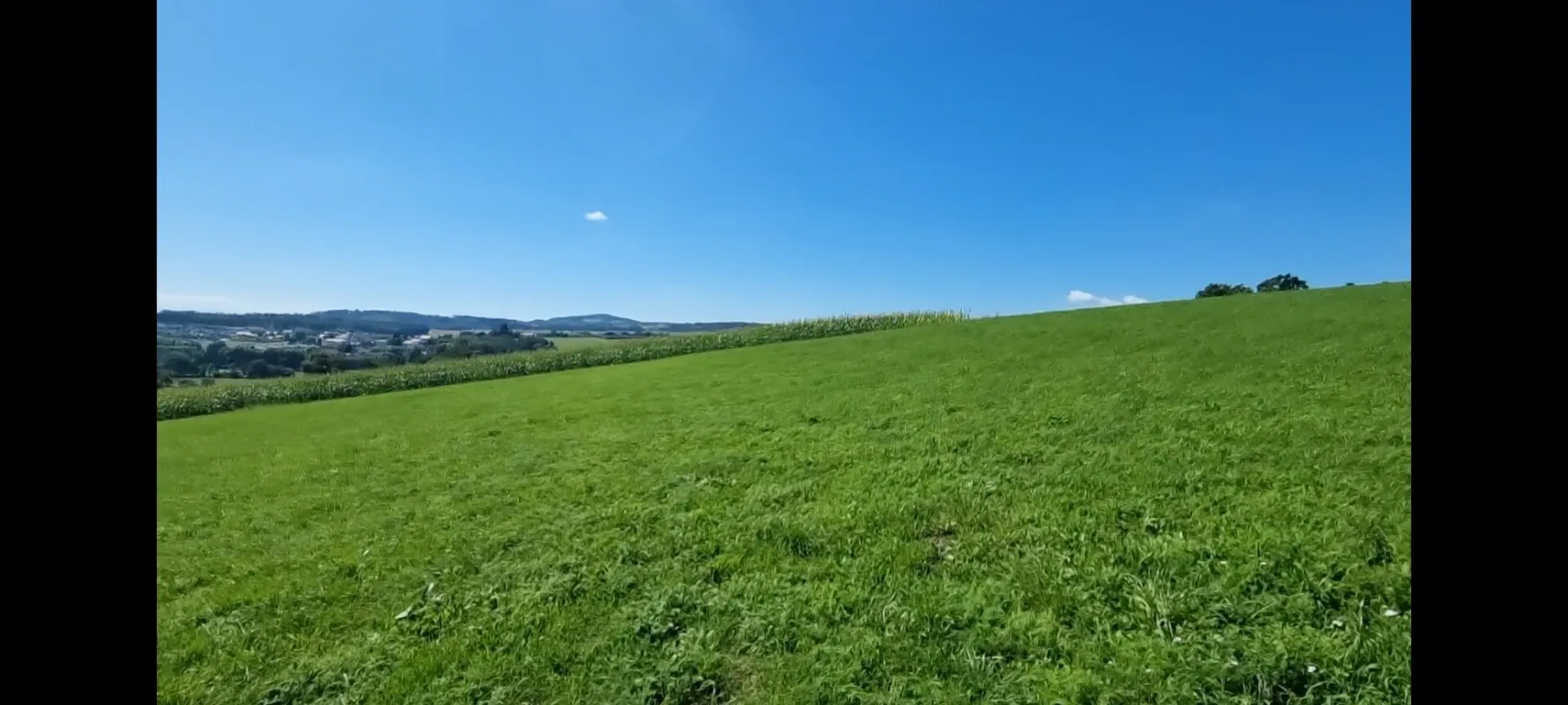 Traumimmobilie mit Fernblick und Grünblick in Bodendorf, OÖ - 903m² Landwirtschaft! - Bild 1