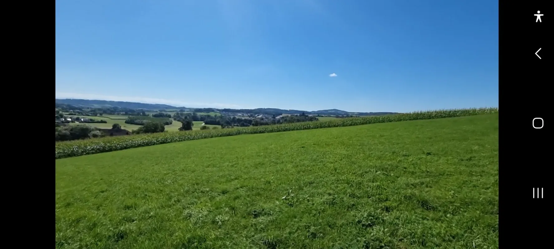 Traumimmobilie mit Fernblick und Grünblick in Bodendorf, OÖ - 812m² Landwirtschaft! - Bild 1