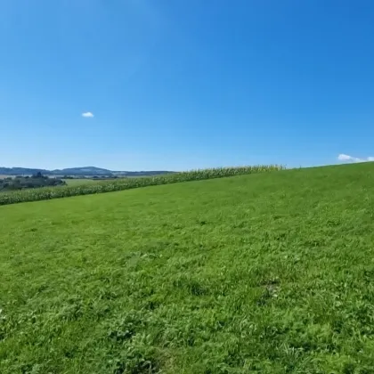 Traumimmobilie mit Fernblick und Grünblick in Bodendorf, OÖ - 812m² Landwirtschaft! - Bild 2