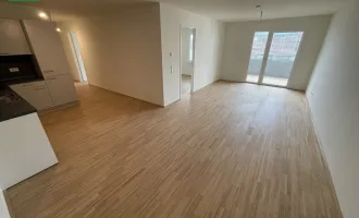 KAY – Traumhafte 3-Zimmer Wohnung in Donaunähe mit hervorragender Infrastruktur - ab sofort beziehbar!
