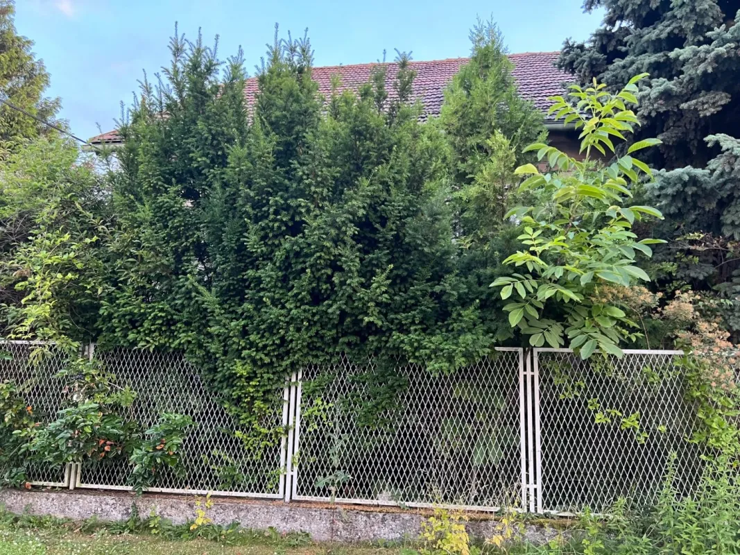 ABBRUCH - NEUBAU - GRÜNRUHELAGE - Bild 1