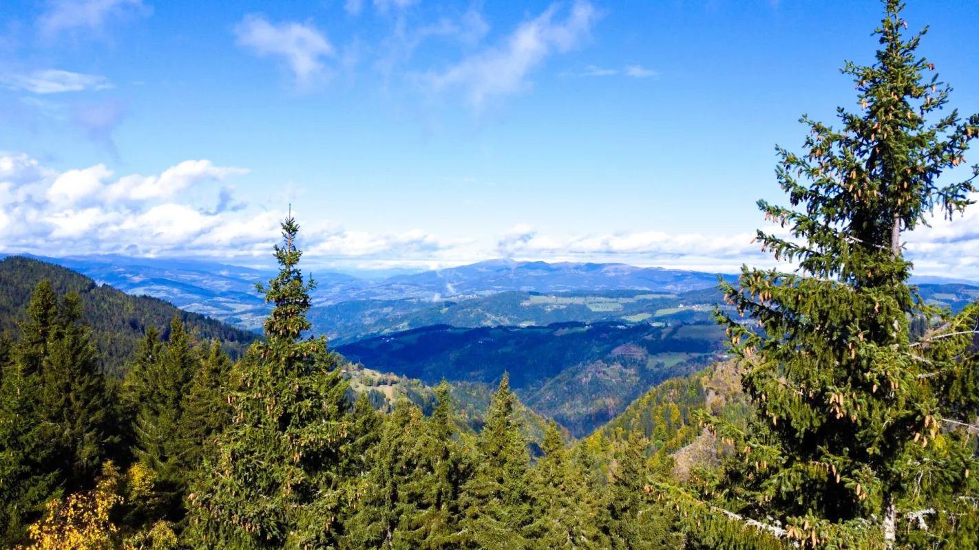 Sonniges Paradies auf der Koralpe: 1479,3m² Baugrund mit Skipisten-Nähe, ohne Baupflicht und atemberaubendem Talblick Richtung Wolfsberg! - Bild 1