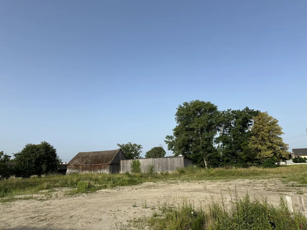 toller Baugrund | 5 min. von Korneuburg | am Ende einer Privatstraße - Bild 1