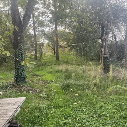 Baugrundstück mit historischem Altbestand und viel Potenzial mitten in Oberlaa - Bild 2