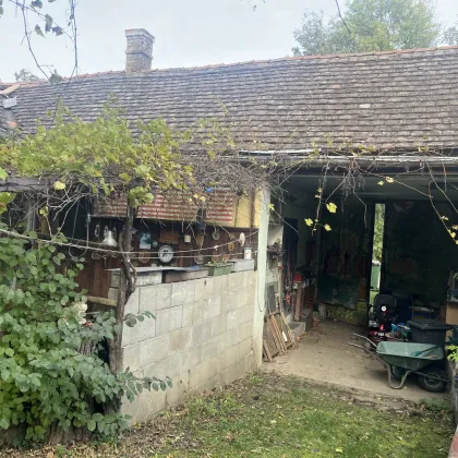 Baugrundstück mit historischem Altbestand und viel Potenzial mitten in Oberlaa - Bild 3