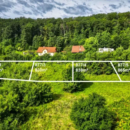 EXKLUSIVE GRUNDSTÜCKE MIT SELTENHEITSWERT I LUXUS BEGINNT BEIM GRUNDSTÜCK I BAUGRUND TRIFFT AUF LEBENSQUALITÄT I UNTERER PLATTENWEG I - Bild 3