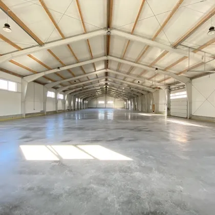 HALLE für Lagerung oder Produktion + BÜRO gleich bei Wien Nord // 100 kWp Photovoltaik + Luftwärmepumpe // Nähe G3, Autobahn, Brünner Straße - Bild 2