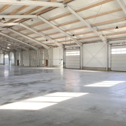 HALLE für Lagerung oder Produktion + BÜRO gleich bei Wien Nord // 50 kWp Photovoltaik + Luftwärmepumpe // Nähe G3, Autobahn, Brünner Straße - Bild 2