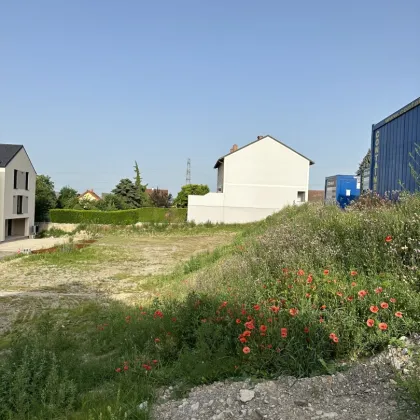 Paket mit 6 Baugrundstücken | Baugenehmigung vorhanden | 5 min. nach Korneuburg - Bild 2