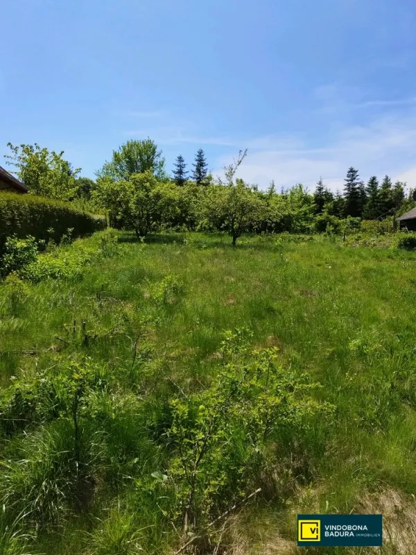 3021 PRESSBAUM TOP BAUGRUND MIT NAHVERSORGUNG UND ÖFFENTLICHER ANBINDUNG IM GEHBEREICH!!! - Bild 1