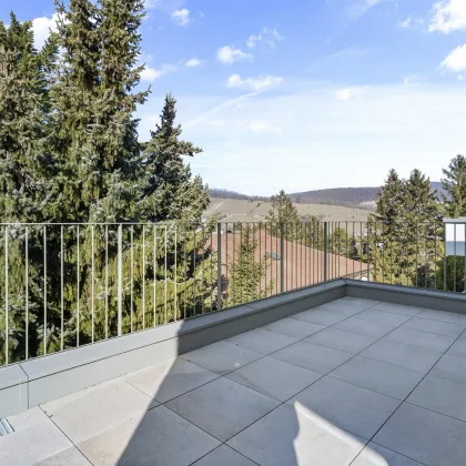 Terrasse mit Weitblick - TONY & TERESE - Town & Terrace Homes - Neustift am Walde 6 - Bild 2