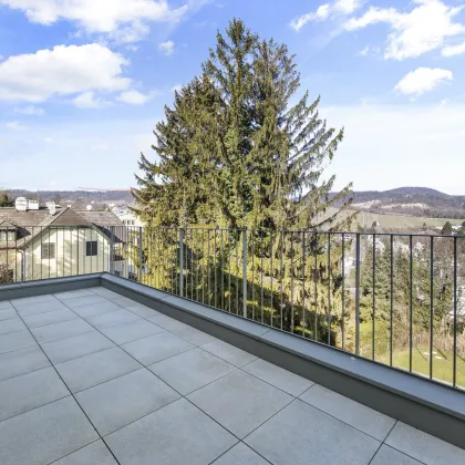Terrassenwohnung mit unverbaubarem Blick auf die Weinberge  -TONY & TERESE - Town & Terrace Homes - Neustift am Walde 6 - Bild 2