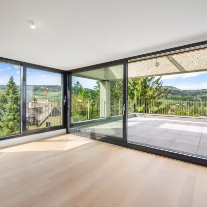 PENTHOUSE mit unverbaubarem Weinbergblick - TONY & TERESE - Town & Terrace Homes - Neustift am Walde 6 - Bild 2