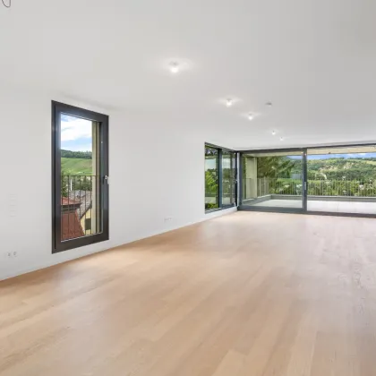 PENTHOUSE mit unverbaubarem Weinbergblick - TONY & TERESE - Town & Terrace Homes - Neustift am Walde 6 - Bild 3