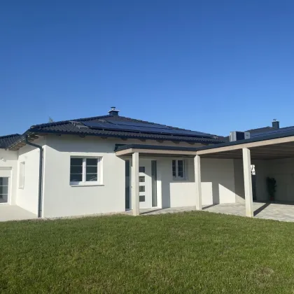 Hochwertiger, moderner Bungalow, Erstbezug - Bild 2