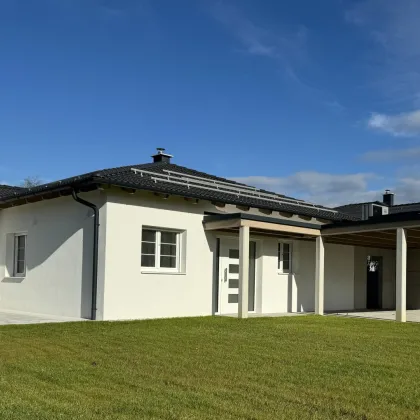 Hochwertiger, moderner Bungalow, Erstbezug - Bild 3