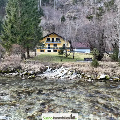 Haus für bis zu 3 Familien mit ca. 5000m2 Gund und eigenem Flusszugang in Hinterstoder - Bild 3