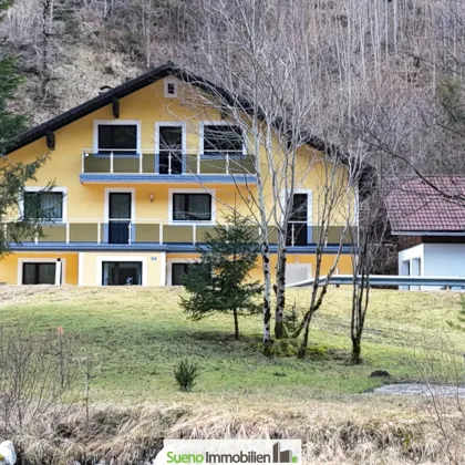 Haus für bis zu 3 Familien mit ca. 5000m2 Gund und eigenem Flusszugang in Hinterstoder - Bild 2