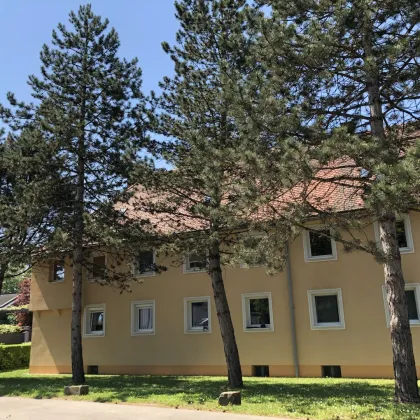 WOHNGENUSS PUR: praktisch geschnittene 2-Raum Wohnung in ruhiger und zentrumsnaher Lage! Preiswert mit heller Raumaufteilung, ebenerdiger Dusche und hochwertigem Zustand! - Bild 2